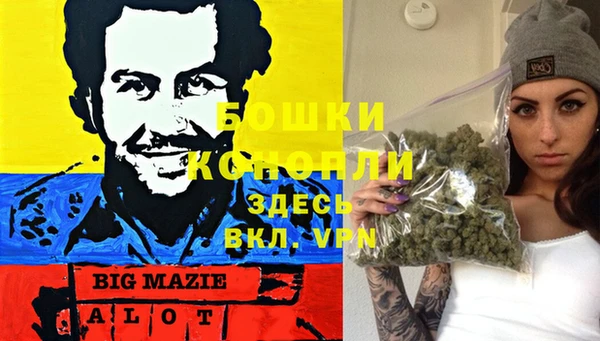 PSILOCYBIN Волоколамск