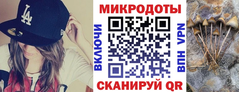 Псилоцибиновые грибы мицелий  Южа 